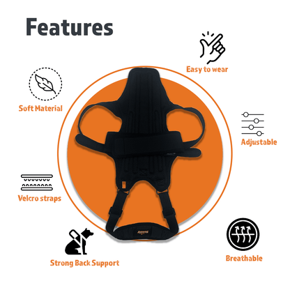 NeoAlly Dog Back Brace with Support Inserts