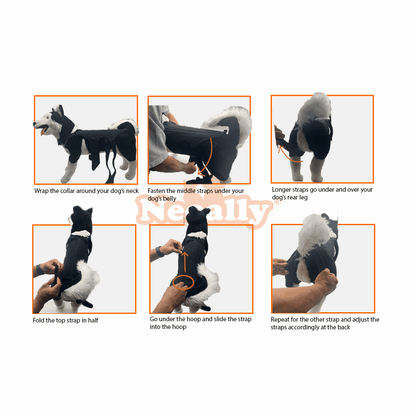 NeoAlly Dog Back Brace with Support Inserts