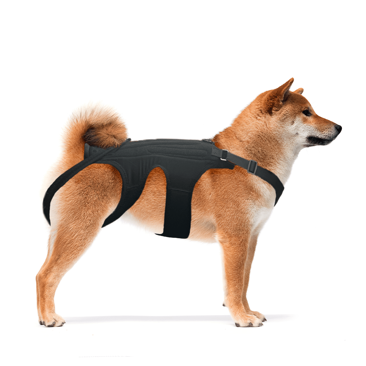 NeoAlly Dog Back Brace with Support Inserts