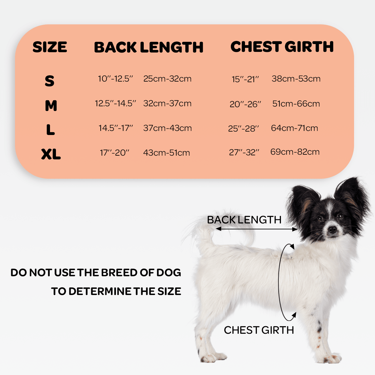 NeoAlly Dog Back Brace with Support Inserts