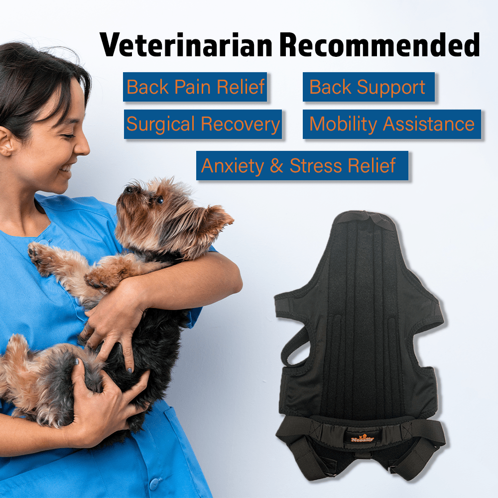 NeoAlly Dog Back Brace with Support Inserts