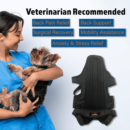 NeoAlly Dog Back Brace with Support Inserts