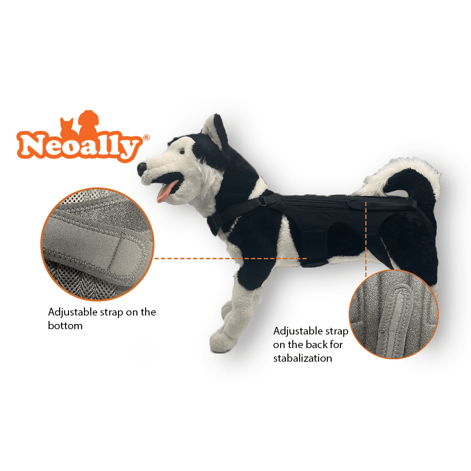 NeoAlly Dog Back Brace with Support Inserts