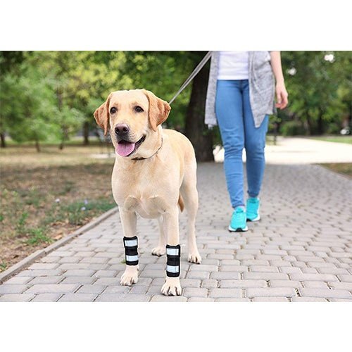 NeoAlly Dog Front Leg Brace with Spring Inserts, Pair