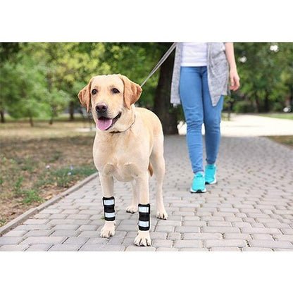 NeoAlly Dog Front Leg Brace with Spring Inserts, Pair