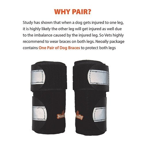 NeoAlly Dog Front Leg Brace with Spring Inserts, Pair