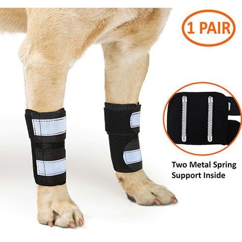 NeoAlly Dog Front Leg Brace with Spring Inserts, Pair