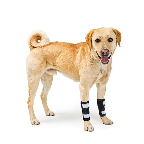 NeoAlly Dog Front Leg Brace with Spring Inserts, Pair