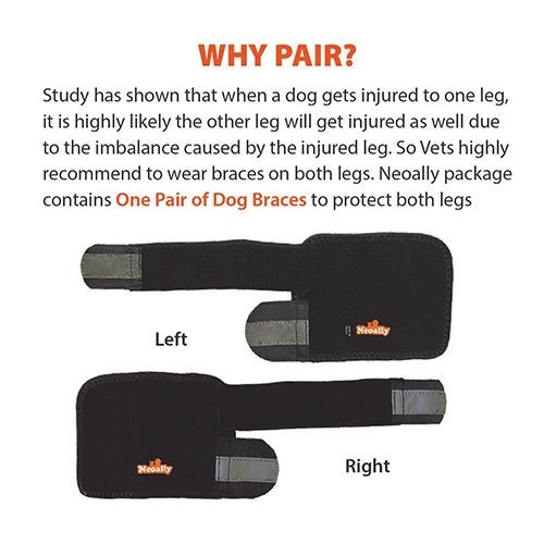 NeoAlly Dog Front Leg Carpal Braces, Pair