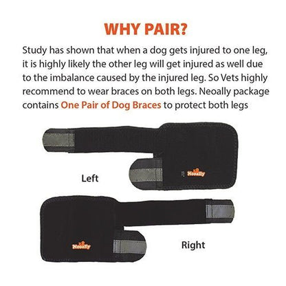 NeoAlly Dog Front Leg Carpal Braces, Pair