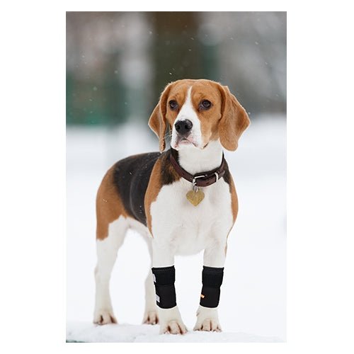 NeoAlly Dog Front Leg Carpal Braces, Pair