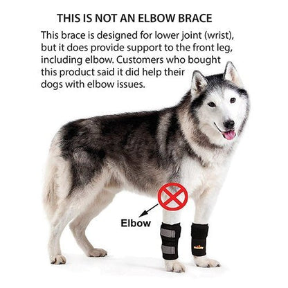 NeoAlly Dog Front Leg Carpal Braces, Pair