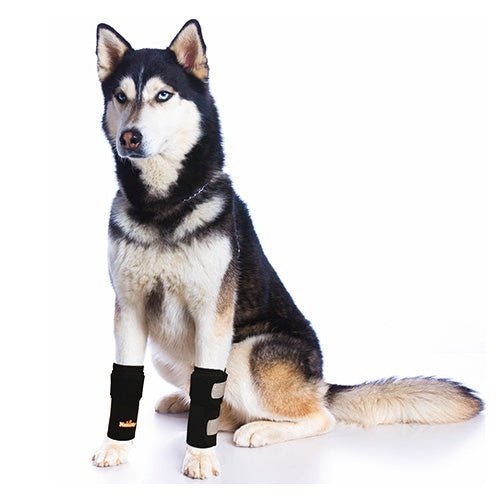 NeoAlly Dog Front Leg Carpal Braces, Pair