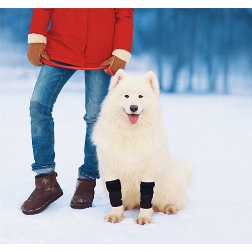 NeoAlly Dog Front Leg Carpal Braces, Pair