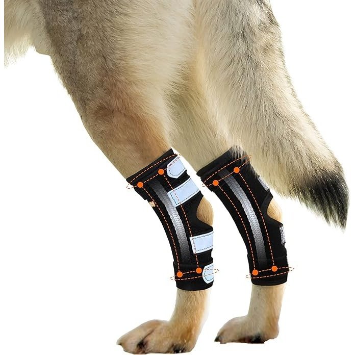 NeoAlly Rear Leg Hock Brace with Spring Strips, Large Dogs
