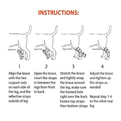 NeoAlly Rear Leg Hock Brace with Spring Strips, Large Dogs