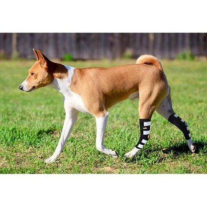 NeoAlly Rear Leg Hock Brace with Spring Strips, Large Dogs