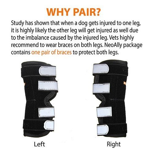 NeoAlly Rear Leg Hock Brace with Spring Strips, Large Dogs