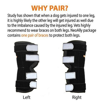 NeoAlly Rear Leg Hock Brace with Spring Strips, Large Dogs