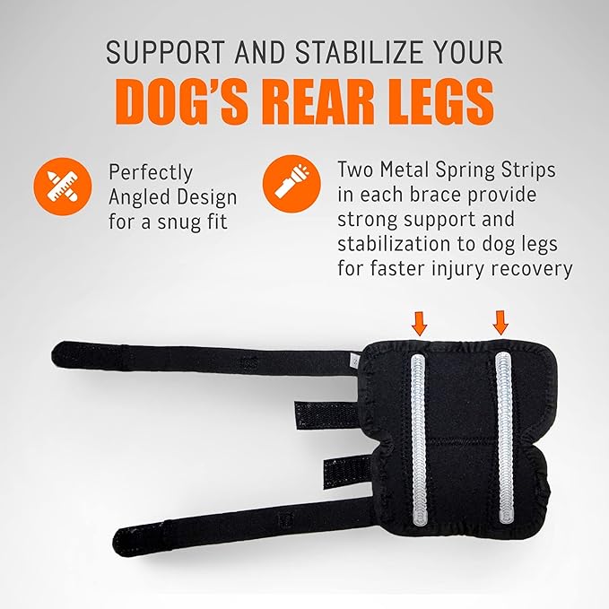 NeoAlly Rear Leg Hock Brace with Spring Strips, Large Dogs