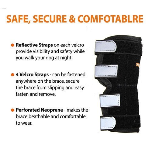 NeoAlly Rear Leg Hock Brace with Spring Strips, Large Dogs