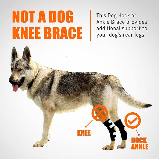 NeoAlly Rear Leg Hock Brace with Spring Strips, Large Dogs