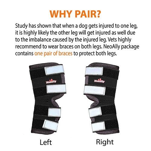 NeoAlly Rear Leg Hock Brace for Large Dogs, Pair