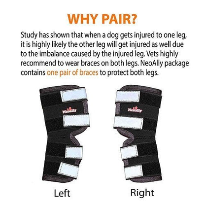 NeoAlly Rear Leg Hock Brace for Large Dogs, Pair