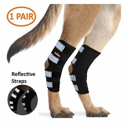 NeoAlly Rear Leg Hock Brace for Large Dogs, Pair
