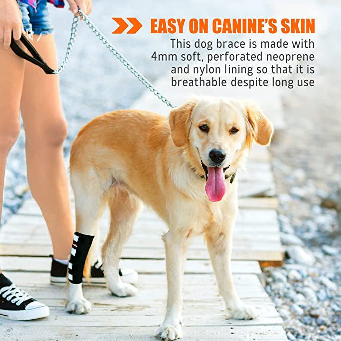 NeoAlly Rear Leg Hock Brace for Large Dogs, Pair