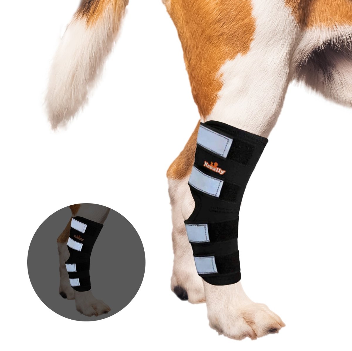 NeoAlly Rear Leg Hock Brace for Large Dogs, Pair