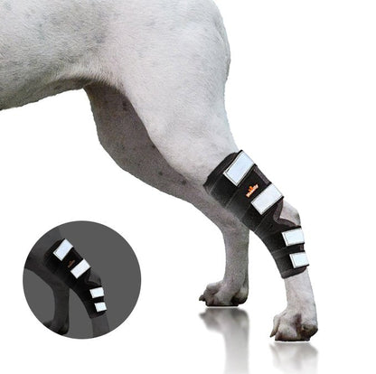 NeoAlly Rear Leg Hock Brace for Large Dogs, Pair
