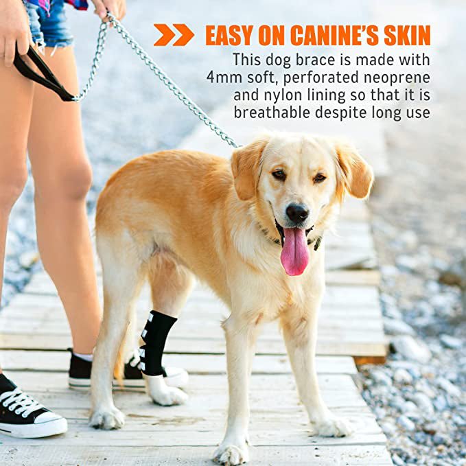 NeoAlly Rear Leg Hock Brace for Large Dogs, Pair