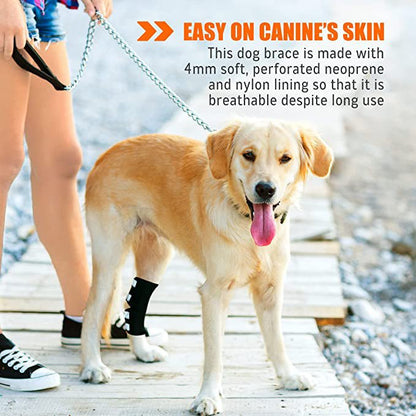 NeoAlly Rear Leg Hock Brace for Large Dogs, Pair