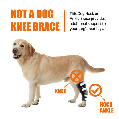 NeoAlly Rear Leg Hock Brace for Large Dogs, Pair
