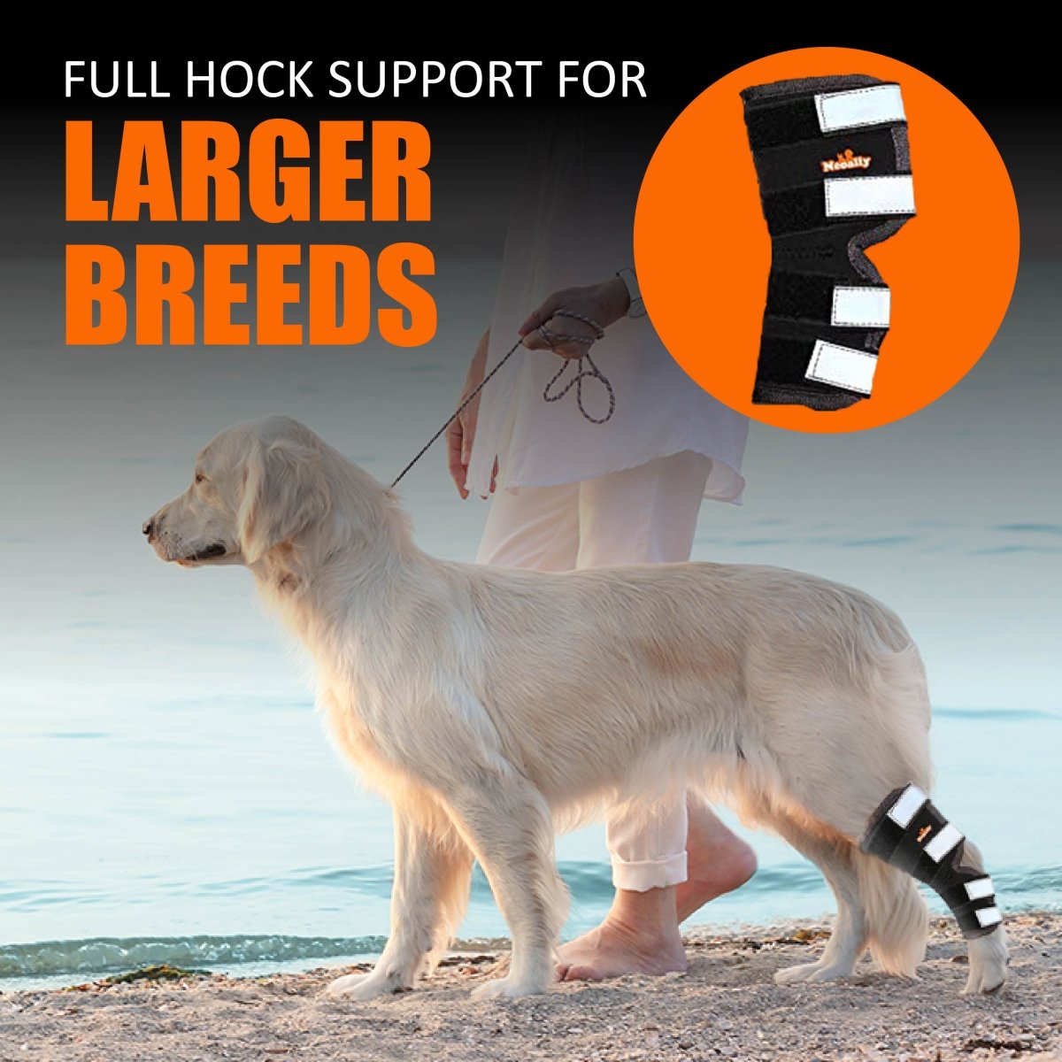 NeoAlly Rear Leg Hock Brace for Large Dogs, Pair