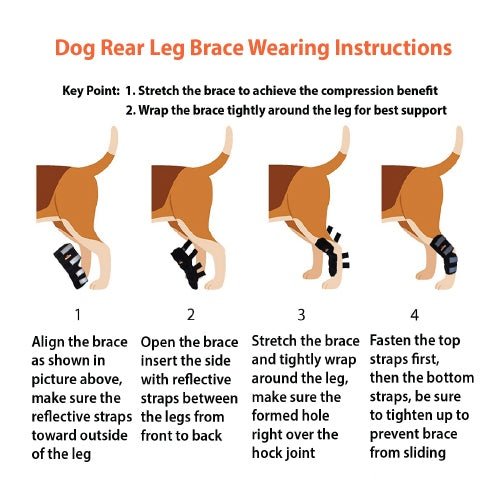 NeoAlly Rear Leg Hock Brace for Large Dogs, Pair