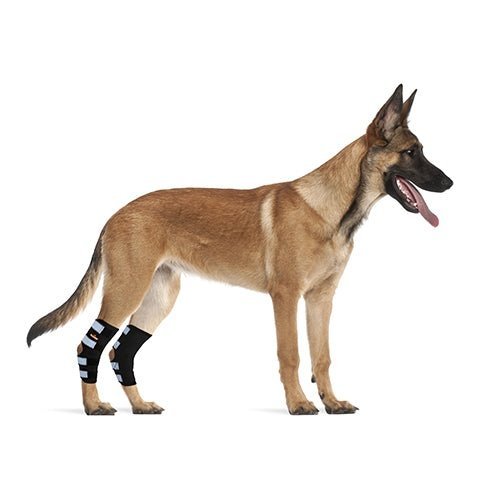 NeoAlly Rear Leg Hock Brace for Large Dogs, Pair