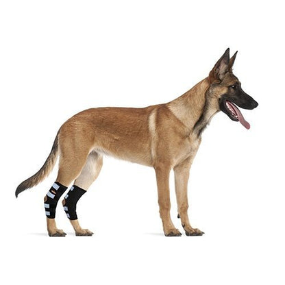 NeoAlly Rear Leg Hock Brace for Large Dogs, Pair