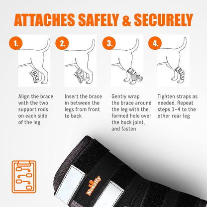 NeoAlly Rear Leg Hock Brace for Large Dogs, Pair