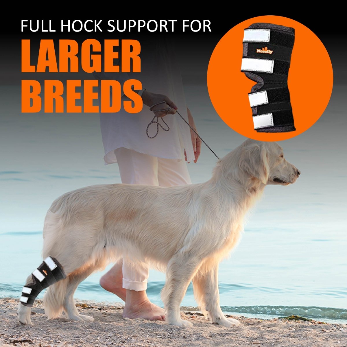 NeoAlly Rear Leg Hock Brace for Large Dogs, Pair