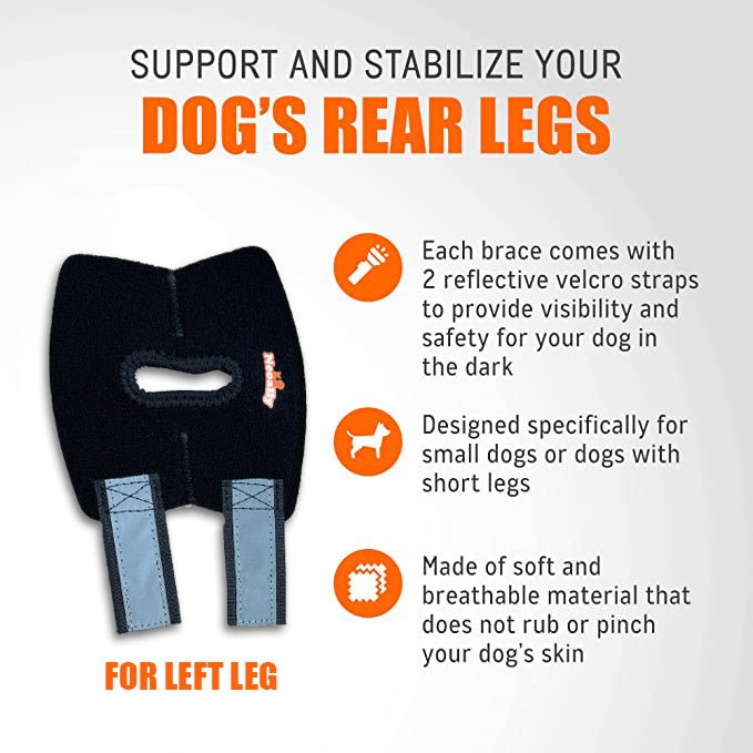 NeoAlly Rear Leg Hock Brace for Small Dogs, Pair