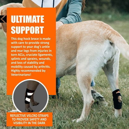 NeoAlly Rear Leg Hock Brace for Small Dogs, Pair
