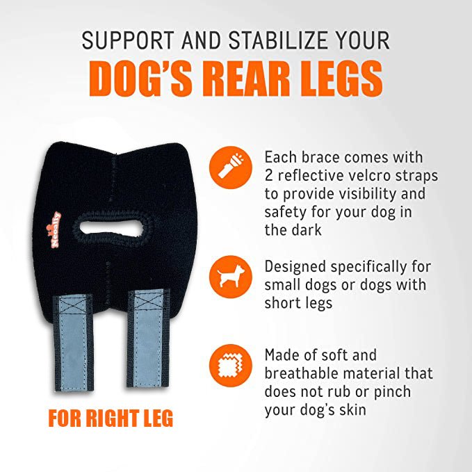 NeoAlly Rear Leg Hock Brace for Small Dogs, Pair
