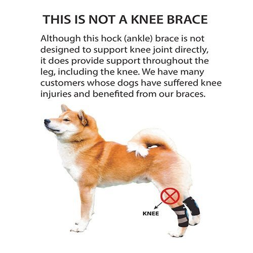 NeoAlly Rear Leg Hock Brace for Small Dogs, Pair