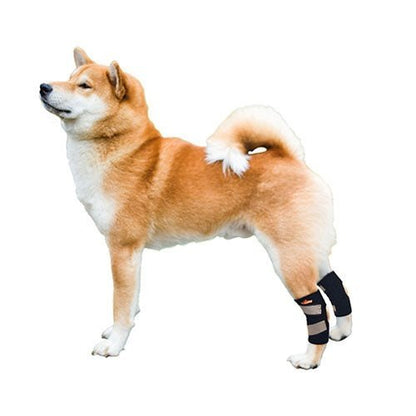 NeoAlly Rear Leg Hock Brace for Small Dogs, Pair