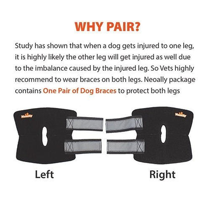 NeoAlly Rear Leg Hock Brace for Small Dogs, Pair