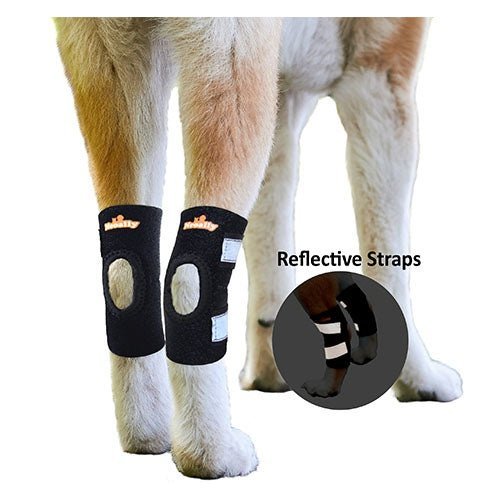 NeoAlly Rear Leg Hock Brace for Small Dogs, Pair