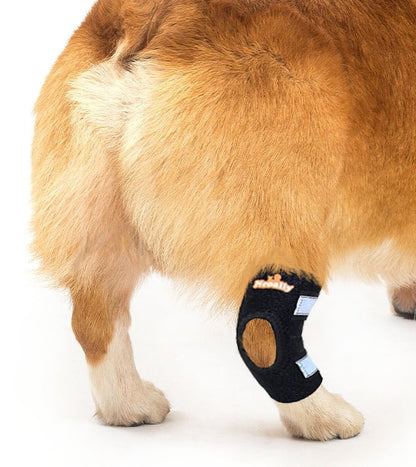 NeoAlly Rear Leg Hock Brace for Small Dogs, Pair