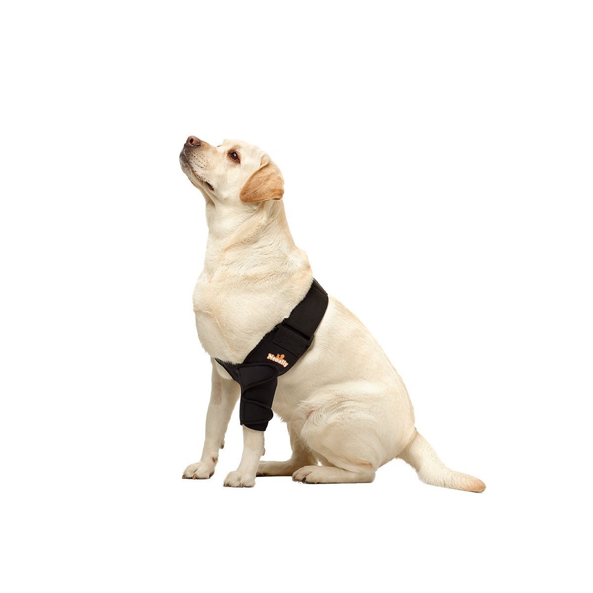 NeoAlly Elbow and Shoulder Brace for Dogs and Cats